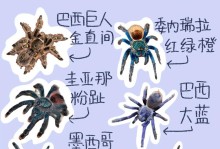 方舟手游（驯服蜘蛛，掌握绝对优势！）