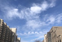 开尔文技能加点全攻略（以超维对决为例，玩转开尔文技能）