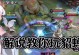 《貂蝉魔鬼细节出装攻略》（揭秘最新的貂蝉出装技巧与策略）