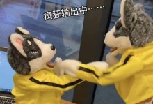 疯狂哈士奇出装攻略大全（打造强力疯狂哈士奇，全面解析最佳装备选择）