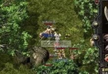 《三国战纪手游战宠虎妞攻略》（用策略赢得无敌战宠，打造最强虎妞）