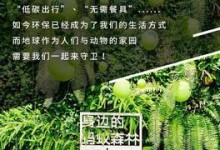 生存森林攻略（极限挑战，唯有智慧与勇气能让你活下来）