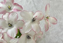 老王战争女神出装攻略（打造无敌的老王战神，以攻强守的装备选择解析）