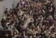 《以玉玺争夺战困难攻略（挑战重重，胜利在望，详解《以玉玺争夺战》中的关键策略）
